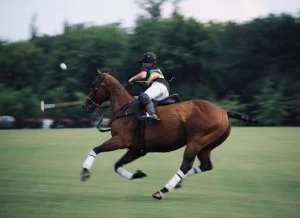 Le polo idéal pour l'équitation ? Un polo personnalisé !