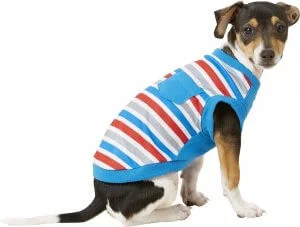 Honden-T-shirts: het perfecte cadeau-idee voor hondenliefhebbers.